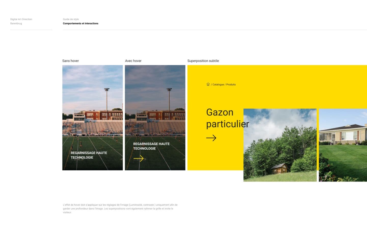 visuel web barenbrug