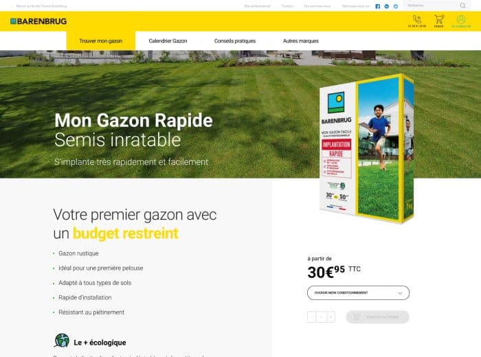 mockup web