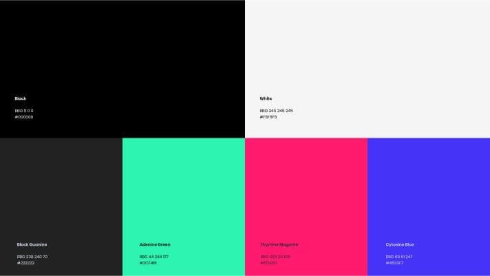 choix des couleurs
