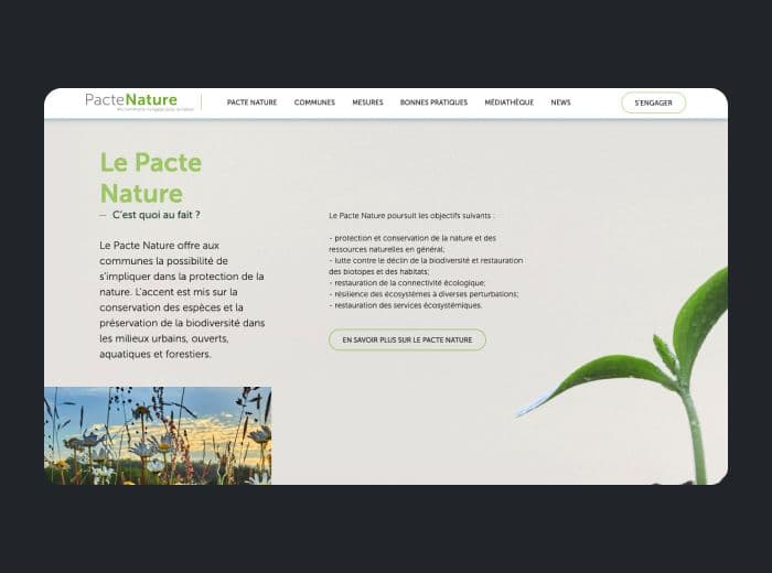 mockup web